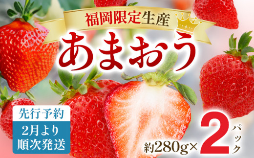 【先行予約2月より順次発送】あまおう グランデサイズ以上 約560g（約280g×2パック） 苺 イチゴ いちご フルーツ 果物 ふるさと納税くだもの ブランド くだもの 福岡県産