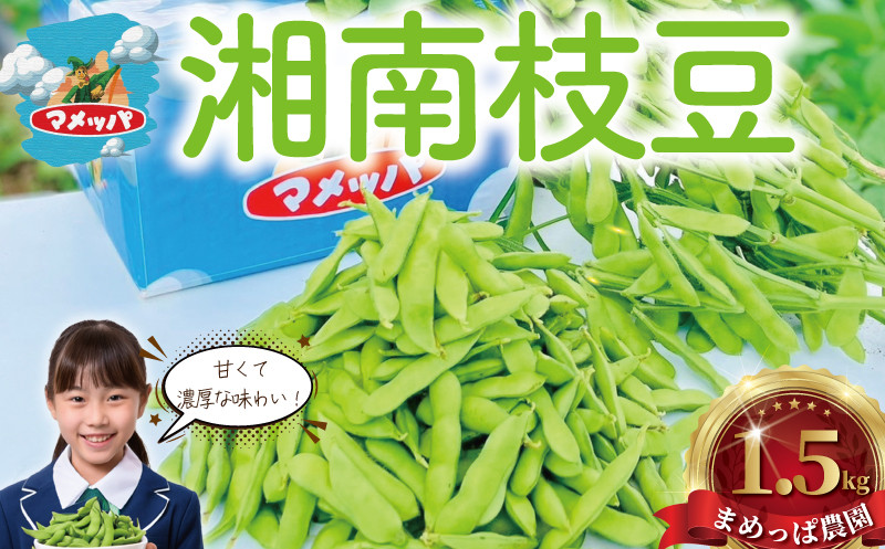 
            枝豆 えだまめ 1.5kg (500g×3袋) 先行予約 【2025年7月発送】 湘南産 豆 まめ マメ えだ豆 エダマメ 個包装 小分け 便利 採れたて 新鮮 甘い 濃厚 おつまみ お酒 つまみ 酒 晩酌 旬 野菜 やさい 夏野菜 冷蔵 食品 期間限定 まめっぱ農園 神奈川 湘南 藤沢
          