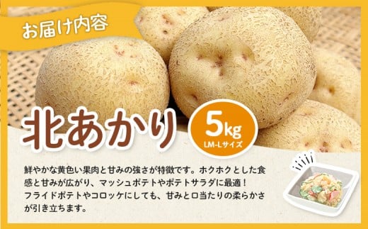 【新じゃが先行受付！】多田農園の北海道安心ラベル「Yes!clean」認証　北あかり5kg（LM-Lサイズ）