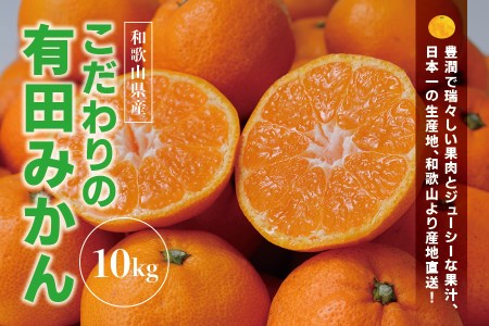 【2024年11月発送予約分】【農家直送】こだわりの有田みかん 約10kg＋250g(傷み補償分)【ご家庭用】  有機質肥料100%  サイズ混合※北海道・沖縄・離島配送不可【11月発送】/ みかん 果物　柑橘 ミカン フルーツ くだもの 和歌山 有田みかん【nuk101-1D】