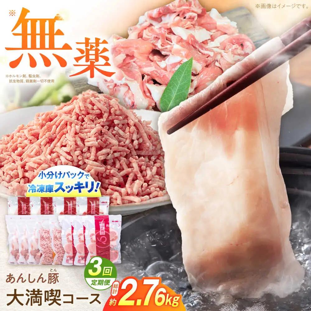 【3回定期便】豚肉大満喫コース 計2.76kg 藤井ファーム[AWAF072]豚肉セット