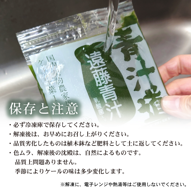 遠藤青汁 お試し セット 【生】 冷凍 7袋 ( 100g × 7袋  ) | 健康 美容 乳酸菌 国産 ケール ビタミン ミネラル 食物繊維 冷凍 ロングセラー お試し青汁 遠藤青汁 新鮮 高知県 南国市