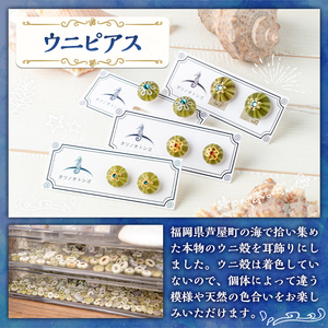 海アクセサリー ウニチタンピアス (1セット) アクセサリー ピアス チタンピアス ハンドメイド 手作り 耳飾り ギフト プレゼント 贈り物 雲丹 うに ウニ殻 1点もの オリジナル 数量限定 【タツ