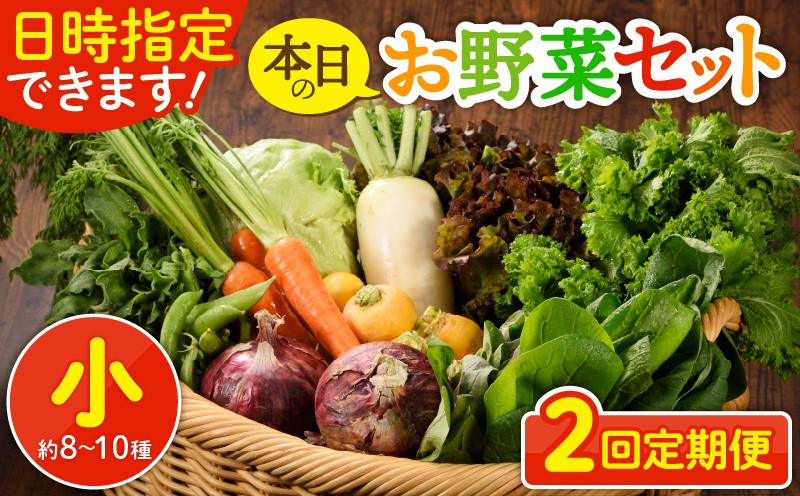 
                  【2回定期便】日時指定OK！本日のお野菜セット 〈小サイズ/約8～10種〉1～2人用 新鮮 産地直送 野菜詰め合わせ 有機栽培 野菜 果物 野菜セット 野菜定期便 送料無料 【オーガニックのまち 宮崎県綾町】_A0053-0021
                
