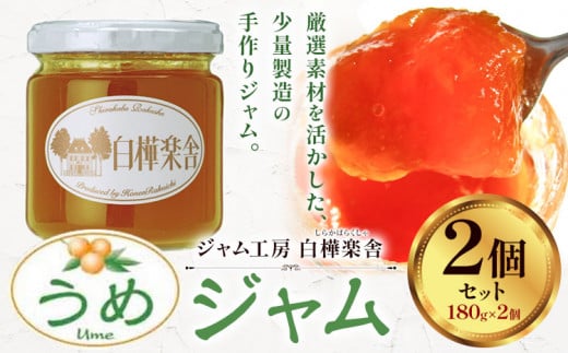 ジャム うめジャム 2個 180g × 2個  豊年楽市有限会社《30日以内に出荷予定(土日祝除く)》千葉県 流山市 パン うめ