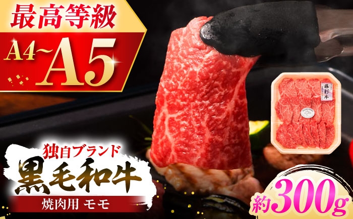 
                  フジチク 藤彩牛 モモ 焼肉用 約300g / 黒毛和牛 肉 にく モモ もも 黒毛和牛 熊本 熊本県 菊陽町 菊陽 九州 A4 A5 BBQ バーベキュー アウトドア お取り寄せ 焼肉用 焼き肉 おすすめ 人気 贈答 ギフト サシ 300g ブランド牛 赤身 部位【株式会社フジチク】[BHAD119]
                