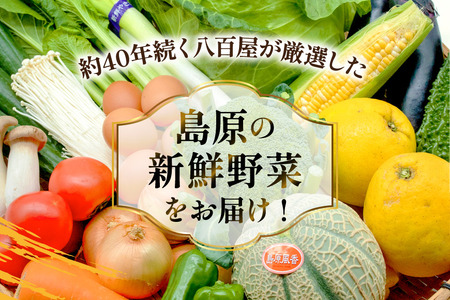 BF057 野菜 フルーツ 定期便3回 おまかせセット 野菜 フルーツ12～14品目 卵6玉