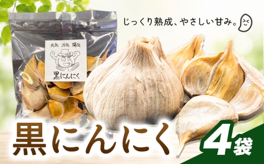 黒にんにく 4袋 株式会社ANELA GROW 《30日以内に出荷予定(土日祝除く)》千葉県 我孫子市 にんにく 水耕栽培 ギフト 送料無料