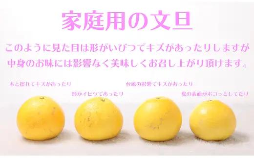 ハッピーフルーツ果樹園 土佐文旦 15kg (5kg × 3箱) 家庭用
