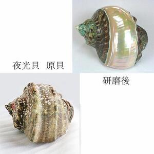 夜光貝とアヴェンチュリンを素材にした「ネックレス」貝工房かざはな【NＮ-13】