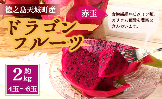【2025年発送分】ご家庭用 徳之島 天城町産ドラゴンフルーツ 赤色 約2kg ピタヤ AJ-4-N