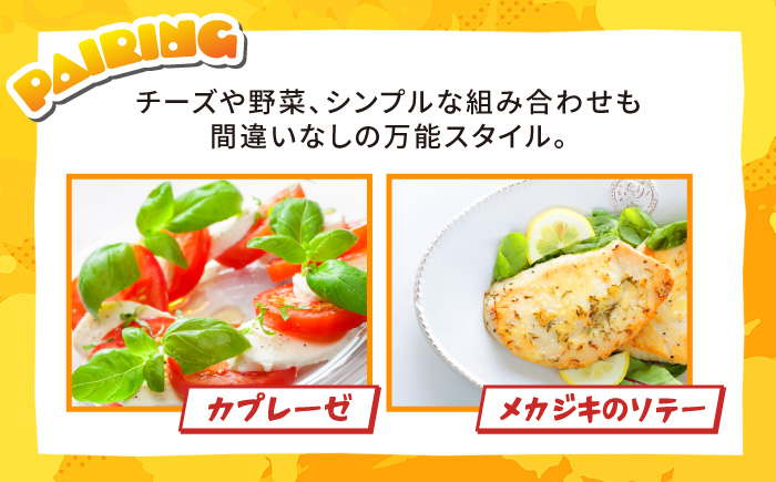 【4回定期便】ゴールデンエール24本定期便 クラフトビール