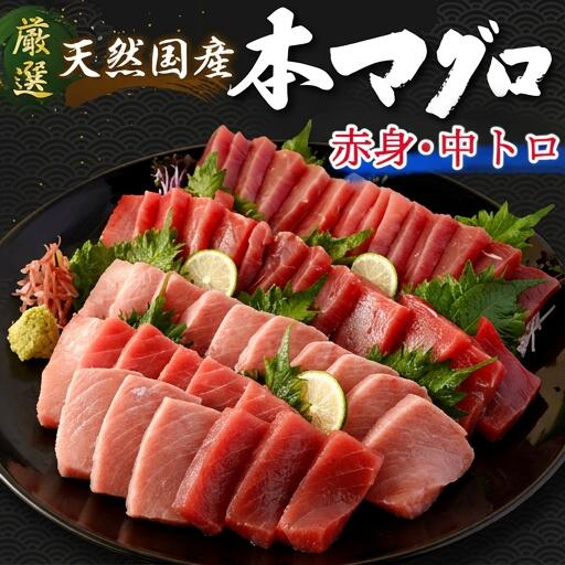 【ふるさと納税】 【数量限定】 天然 本マグロ 中トロ・赤身 1kg 国産 マグロ 鮮魚 魚 高知県 室戸市 刺身 刺し身 漬け丼 海鮮丼 おかず 魚介類 海鮮 海産物 まぐろ 本まぐろ 鮪 ブロック 1キロ 惣菜 冷凍 美阿丸 高知県 室戸市