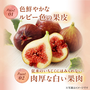 急速冷凍！福岡県特産品プレミアムいちじく「とよみつひめ」冷凍いちじく 大容量2kg【JAほたるの里】_HA0279