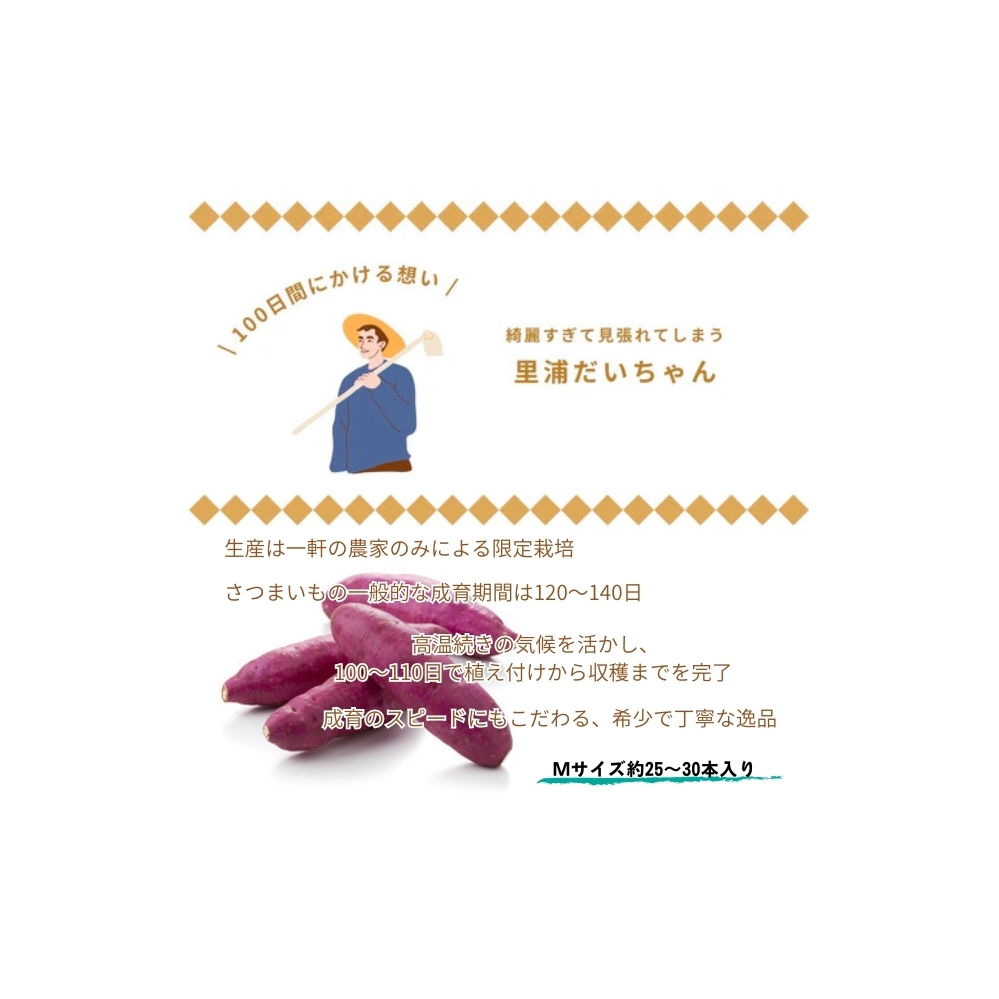 鳴門産 さつまいも 『 里浦だいちゃん 』 5kg | なると金時 甘い ホクホク スイーツ 焼き芋 干し芋 天ぷら サラダ けんぴ きんつば　さつまいも