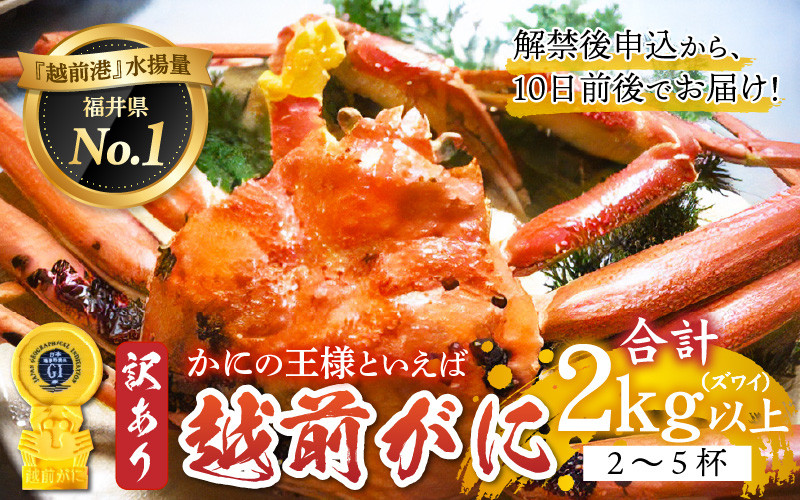 
【産地直送】福井の冬の王様！【訳あり】越前がに 合計2kg以上（2〜5杯）3〜5人前　[M-00904]
