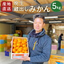 【ふるさと納税】＜配送時期が選べる＞大分県宇佐市産 蔵出し みかん(約5kg)ミカン 蜜柑 柑橘 フルーツ 果物 くだもの 果実 国産 熟成【103600401】【井上農園】