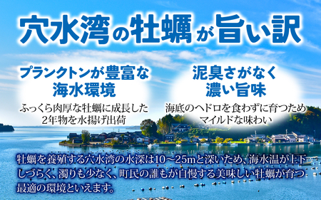 鮮度抜群！獲れたてをお届け！ 能登穴水の牡蠣（殻付き）加熱用3kg |  奥能登 能登半島 牡蠣