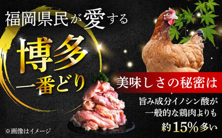 【大容量！】はかた一番どり 鶏肉 鶏むね肉 4kg ＜肉のくまもと屋＞ 那珂川市 鶏むね 九州産 サラダチキン 唐揚げ 地鶏 ムネ肉  10000 10000円 [GBI021]