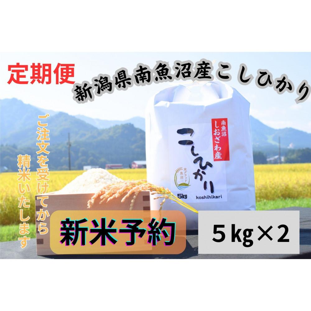 【ふるさと納税】【令和8年産・新米予約・定期便】新潟県南魚沼市の豊かな自然が育んだ、極上のコシヒカリ　10kg×6か月【定期便 銘柄米 ブランド米 精米 こしひかり コシヒカリ 魚沼産】【2026年9月下旬より1ヶ月以内に順次発送予定】