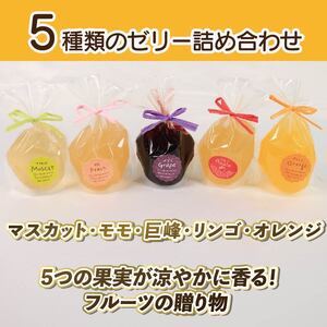 ゼリー 詰め合わせ 5個 フルーツゼリー ゼリー ゼリー ゼリー
