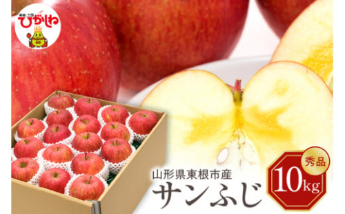 【令和7年産 先行予約】りんご サンふじ 10kg(秀品) 東根市 山形県 東根農産センター提供 hi027-205-1