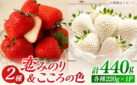 【先行予約】恋みのり・こころの色 220g×2パック（各1パック）  【鐘ヶ江農園】[IBH020]