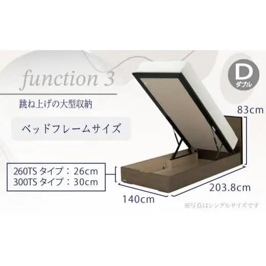 フランスベッド BG-001（跳ね上げ収納タイプ 260mm）ダブル【ベッドフレームのみ】S-213