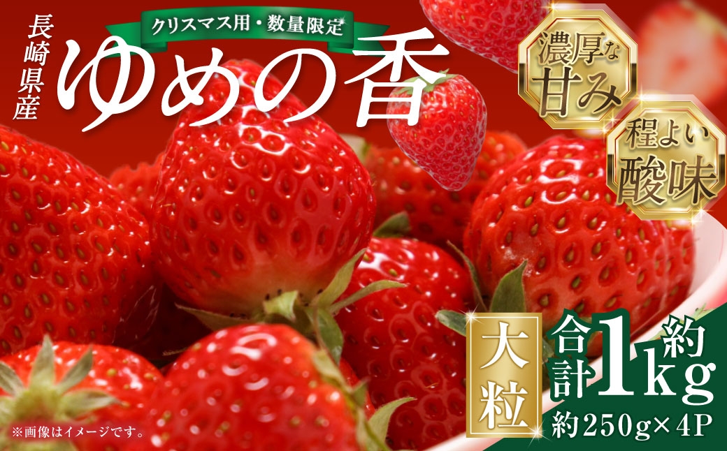 
                  【選べるお届け日・年内発送】★クリスマス用・数量限定★ 長崎県産 いちご ゆめの香 【大粒！】計約1kg(250g×2パック入×2箱 ) ／ イチゴ 苺 フルーツ 果物 くだもの わたる農園 長崎県 長崎市
                