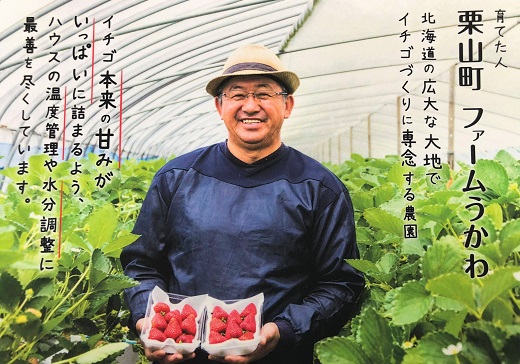もぎたて！ファームうかわの大粒いちご2パック