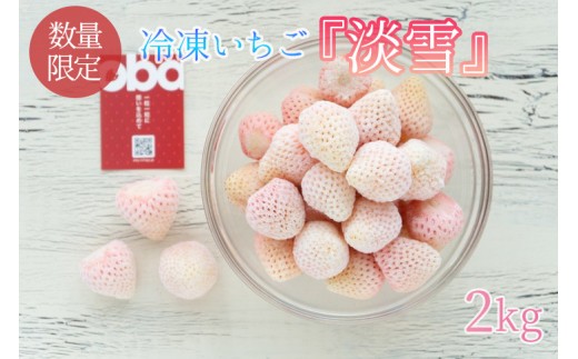 
                  【数量限定】冷凍いちご 希少なプレミアム白イチゴ『淡雪』1kg入×2袋 合計2kg オリジナルレシピ有り【苺 いちご フルーツ 果物 冷凍 水戸市 茨城県】（DO-1）
                