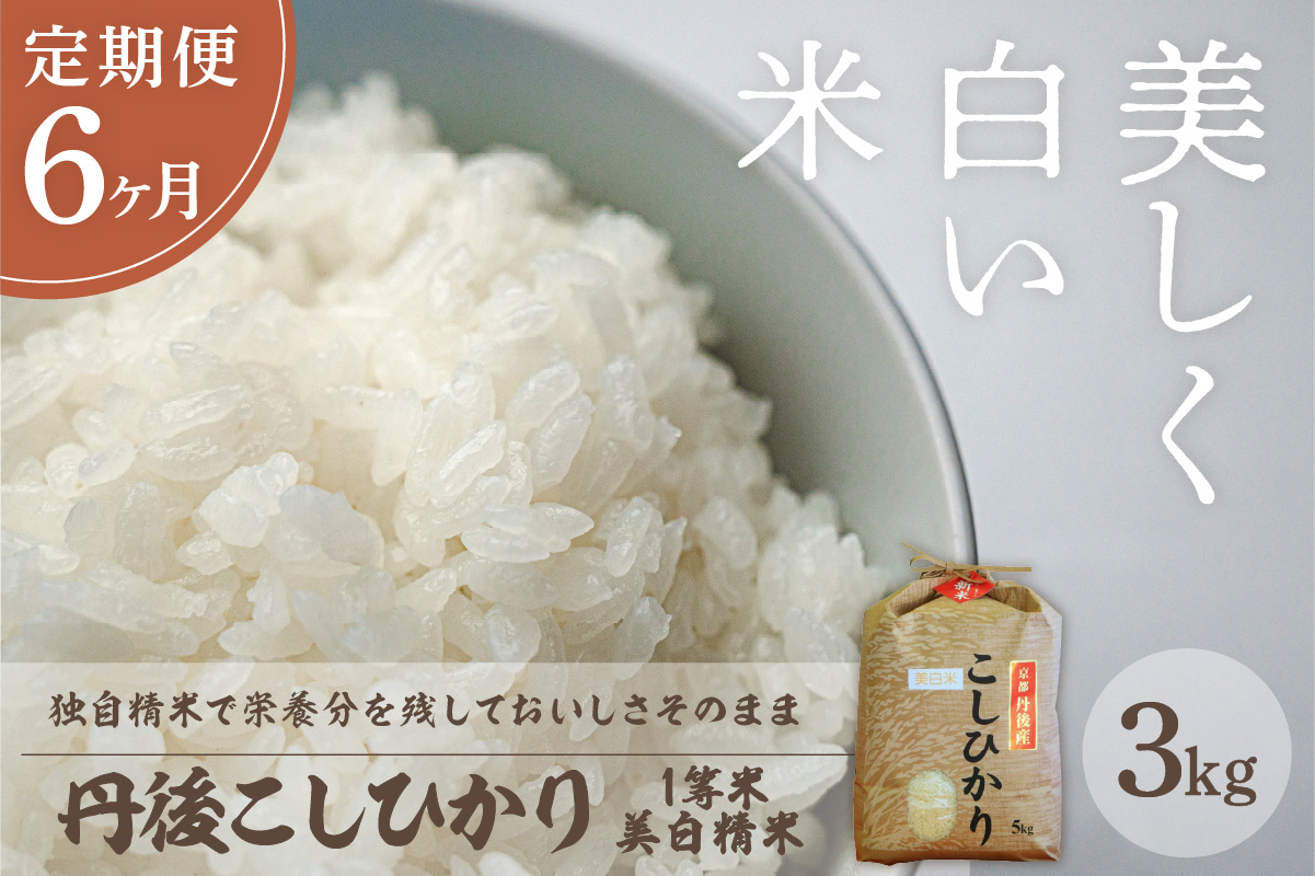 【定期便6回】令和8年産 美白精米 丹後こしひかり 3kg×6ヵ月 1等米 定期便 久美浜 国産 お米 白米 丹後コシヒカリ おにぎり お弁当 京都産 京丹後 こしひかり 精米 ふるさと納税 米 小分け　MU00102