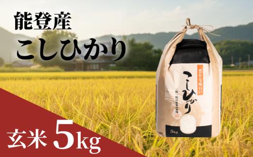 新米 こしひかり 玄米 5kg 能登 の おこめ 数量限定 令和7年産 甘み hakumai ※ ご飯 ごはん R7 2025年産 おいしい 美味しい 石川県 石川 能登 羽咋 支援 応援 復興応援 復興支援 お米 米 こめ kome okome ふるさと納税米 