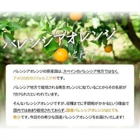 【2026年6月下旬頃発送】秀品　希少な国産バレンシアオレンジ　2.5kg【配送不可地域：離島】【1327765】