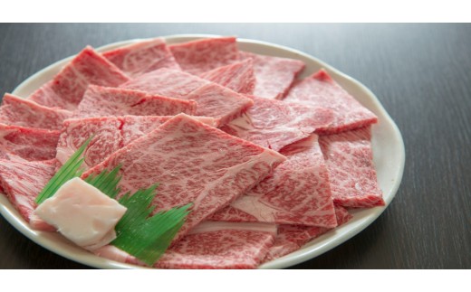 飛騨牛 ロースまたは肩ロース 焼肉・BBQ用600g 岐阜県 郡上市 飛騨牛 和牛 ブランド牛 高級 焼き肉 やきにく バーベキュー  牛 牛肉 ロース スライス  飛騨牛 和牛 ブランド牛 高級 焼き肉 やきにく バーベキュー   牛 牛肉 ロース スライス  飛騨牛 和牛 ブランド牛 高級 焼き肉 やきにく バーベキュー   牛 牛肉  スライス 冷凍 牛肉 牛 ブランド牛 ロース