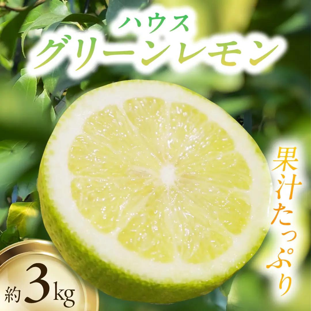 瀬戸内の ハウスグリーン レモン 約3kg【2026年8月以降発送】