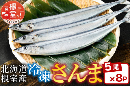 【北海道根室産】冷凍さんま40尾 C-30002
