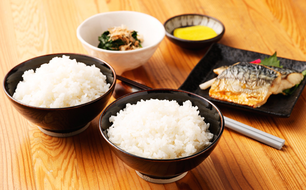 【水田焼】めずらしい絣文様のご飯茶碗セット お茶碗 食器