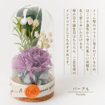 ふるさと納税 羽島市 プリザーブドフラワー ガラスドーム型アレンジ 【イネス ミニ(パープル)】 |  | 01