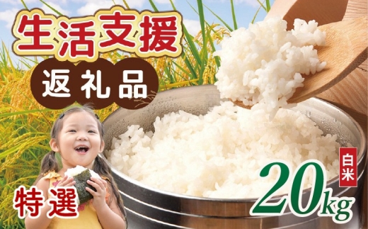 【 訳あり 】 近江ブレンド米 特選 白米 20kg