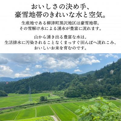 ふるさと納税 柳津町 【令和7年産先行】柳津町黒沢地区産こしひかり「中山間のかがやき」10kg 〈10月末より順次発送〉 |  | 01