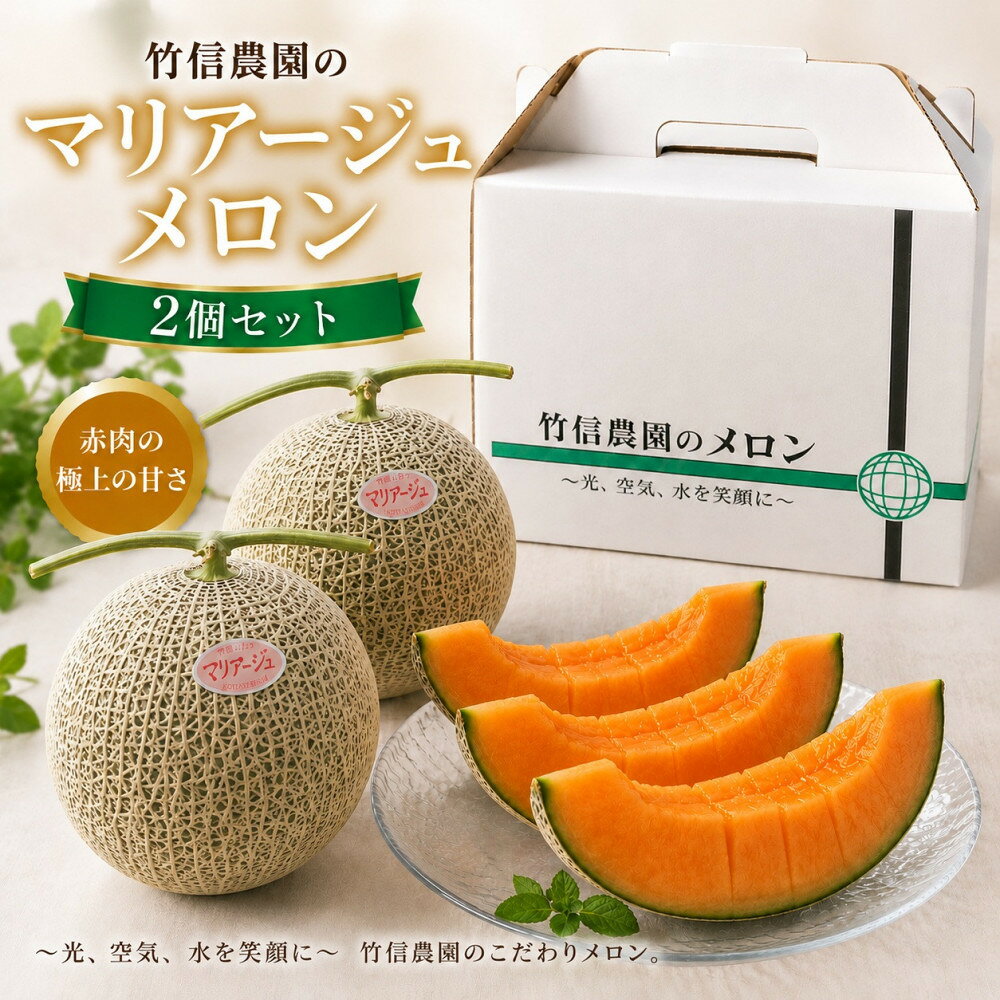 【ふるさと納税】※先行予約【鳥取県産】マリアージュメロン2玉　※12月上旬頃発送予定 | フルーツ 果物 くだもの 食品