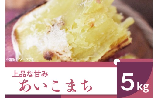 【2025年11月より順次発送】2025年度産 上品な甘みのさつまいも あいこまち 約5kg｜さつまいも サツマイモ さつま芋 芋 お芋 あいこまち 先行予約 渋谷農園 人気 送料無料 茨城県 行方市(BZ-7)