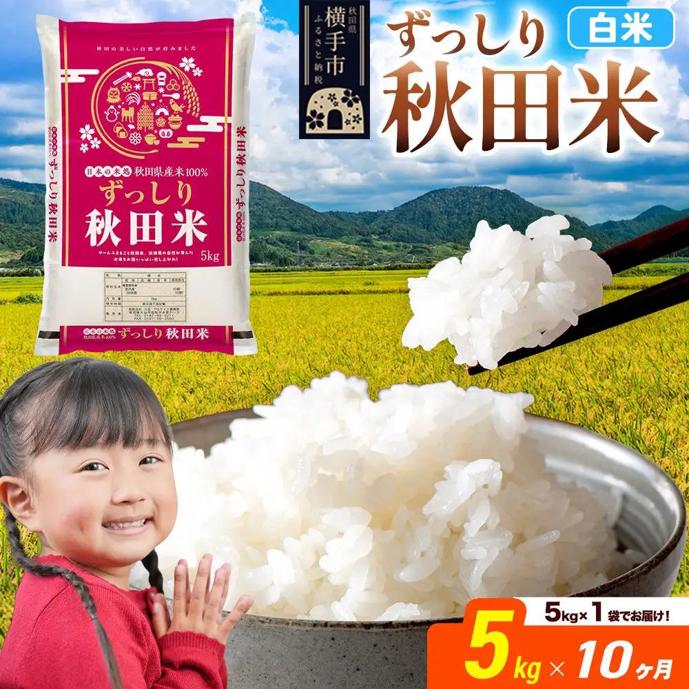 米《定期便10ヶ月》秋田県 横手市産 ブレンド米 令和7年産【白米】5kg（5kg×1袋）