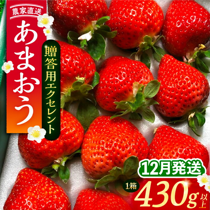 【ふるさと納税】【先行予約】【12月発送】 あまおう 贈答用 エクセレント 430g以上×1箱 《豊前市》【内藤農園】果物 いちご[VAB013] 13000 13000円
