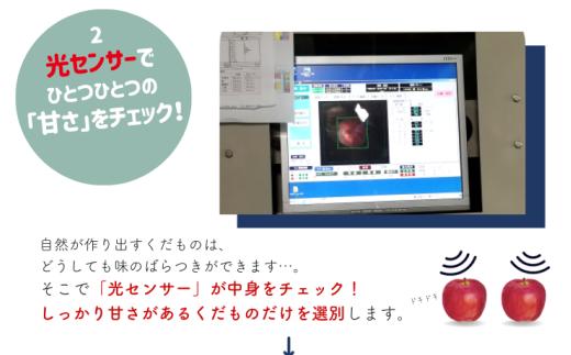 松川インター選果場の様子。農家さんから集められたサンふじは、ここで選別されます。