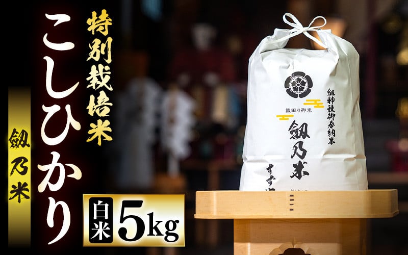 
            【先行予約】【令和7年産・新米】特別栽培米 こしひかり 5kg（精米）「劔乃米」 【2025年10月より順次発送予定】 【お米 福井県産 劔神社 御奉納米 コシヒカリ 数量限定】 [e35-a045]
          