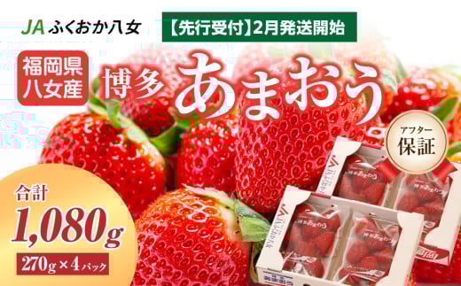 【先行受付 2026年2月発送開始】博多あまおうＧ270g×4パック｜ＪＡふくおか八女 あまおう いちご 苺 イチゴ フルーツ 果物 くだもの 人気  旬 福岡県産 大粒 アフター補償 数量限定 期間限定 産地直送 グランデ 福岡県 八女市