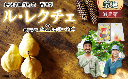 
                  【特選】西洋梨ルレクチェ約2kg（5～6玉）化粧箱入
                
