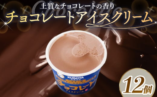 チョコレートアイスクリーム110ml✕12個 | アイスクリーム チョコレート チョコアイス カップアイス 人気 大容量 有名 アイスセット 詰め合わせ スイーツ ジェラート 久保田食品 高知県 南国市
